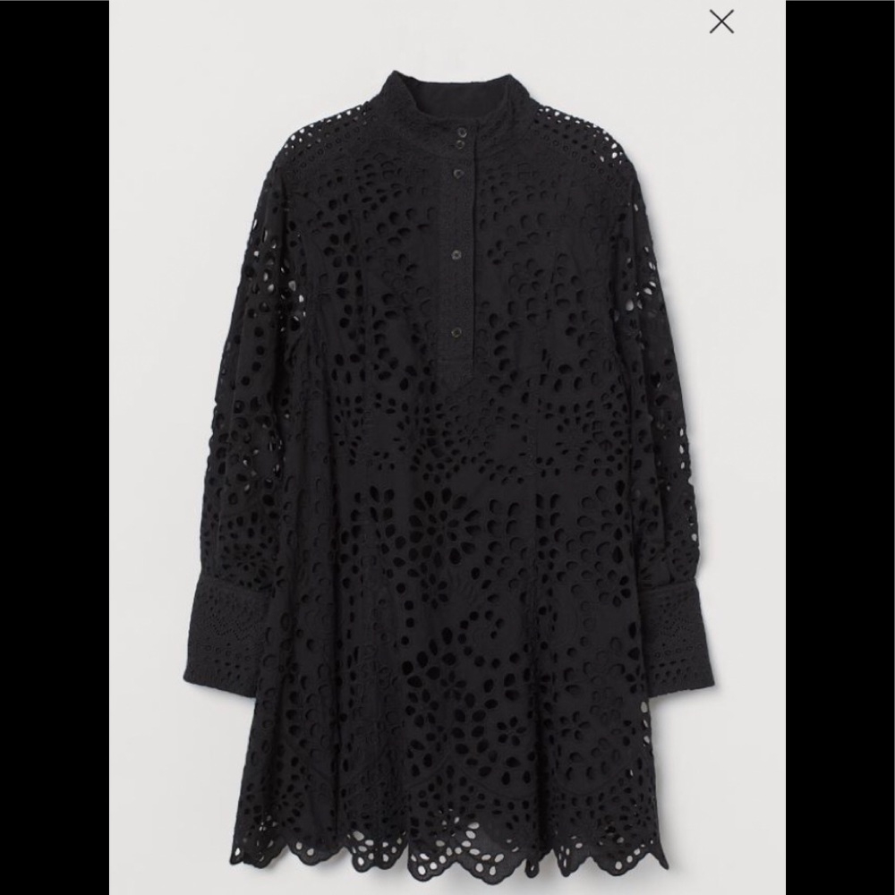 H&M Eyelet Embroidery Dress